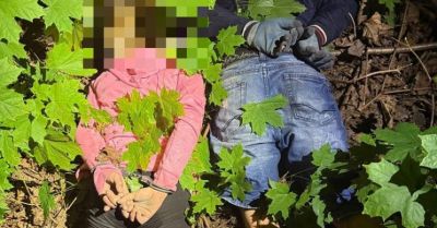 Policjanci z Komisariatu II Policji w Jeleniej Górze zatrzymali parę podejrzaną o usiłowanie kradzieży z włamaniem